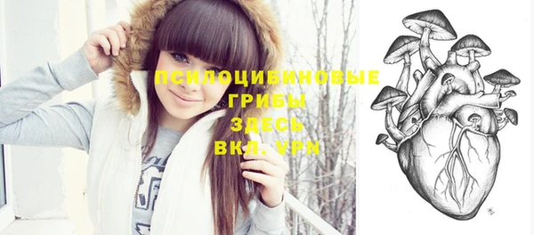 крисы Коряжма