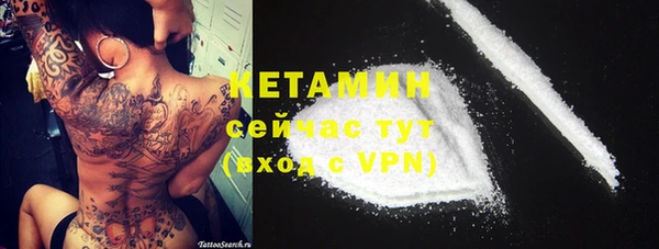 крисы Коряжма