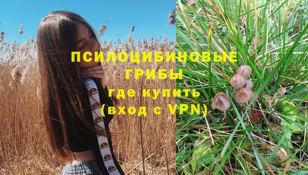jwh Корсаков