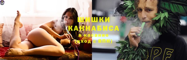 крисы Коряжма