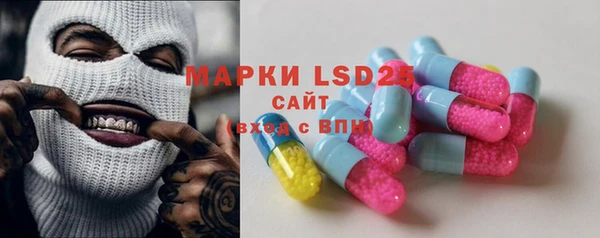 крисы Коряжма
