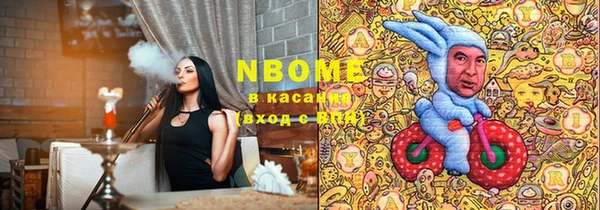 крисы Коряжма