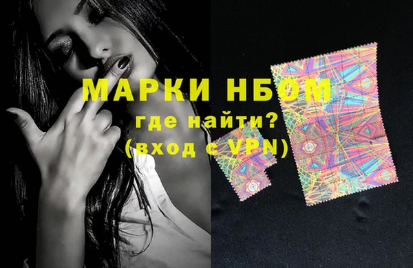 крисы Коряжма
