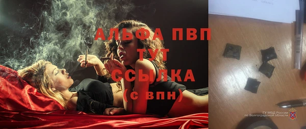 jwh Корсаков