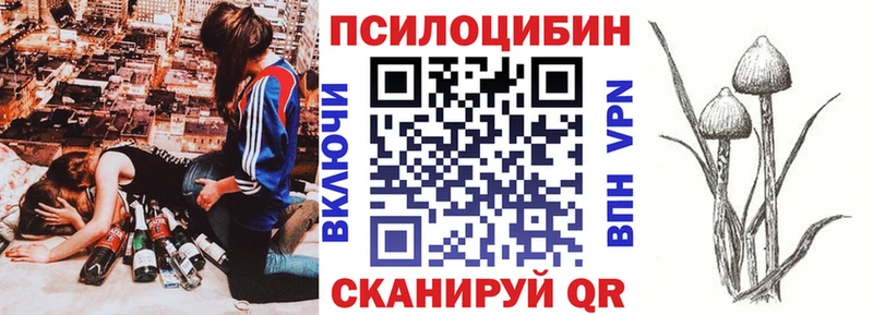 Купить закладки  Зеленоградск  Псилоцибиновые грибы прущие грибы 